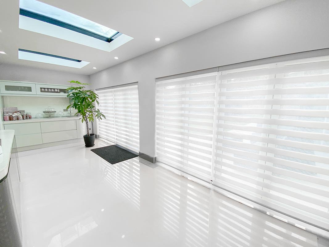 Vision Window Blinds